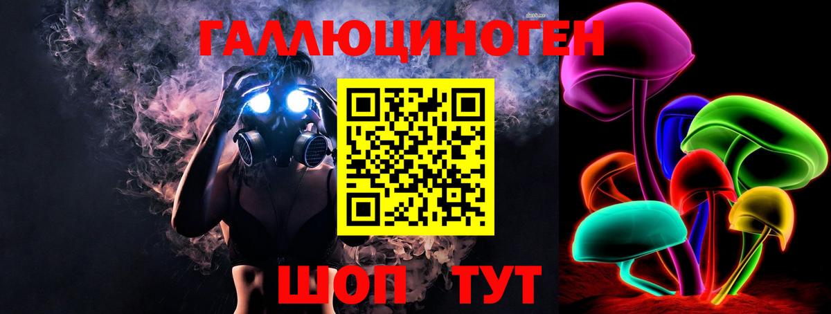 Псилоцибиновые грибы Psilocybe Клин